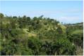 Die Finca ist schon zu sehen