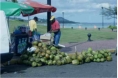 Obststand auf der Strandstrae in Puerto Plata