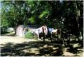 Htten im Dorf Asencion