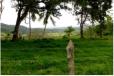 Durch das Hinterland