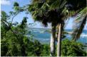 Karibik so wie man sie sich vorstellt (Rural North Coast)